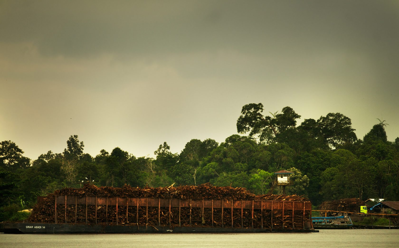 Nusantara Atlas | Pulp-and-paper Driven deforestation in Indonesia ...
